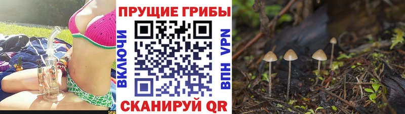 Галлюциногенные грибы GOLDEN TEACHER что такое наркотик Кораблино